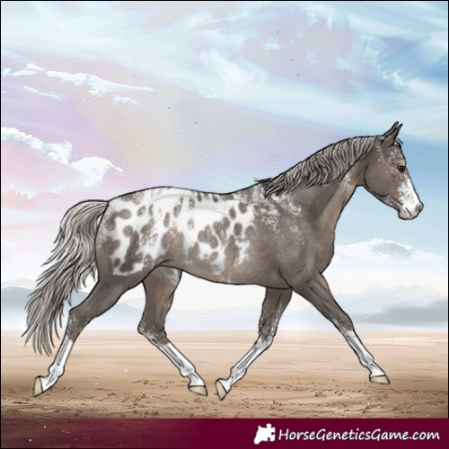 Horse Color:Powder White Silver Black Blanket Rabicano 