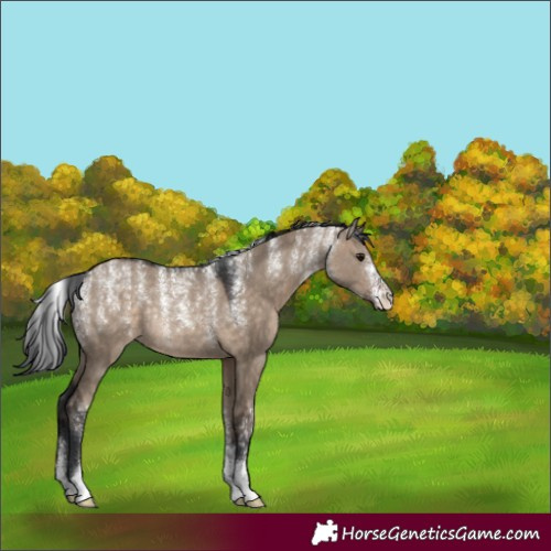Horse Color:Powder White Brown Dun Rabicano 