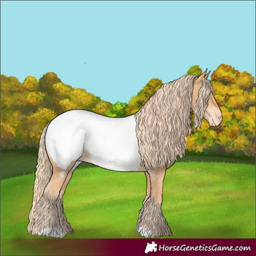 Horse Color:Gold Champagne Near Fewspot