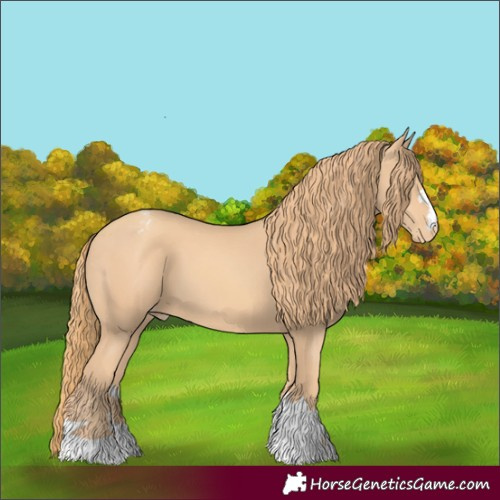 Horse Color:Gold Champagne Varnish 
