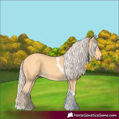 Horse Color:Palomino Tobiano 