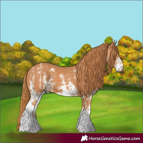 Horse Color:Chestnut Sabino