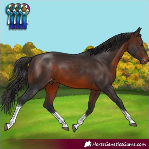 Horse Color:Brown Tobiano Varnish Rabicano