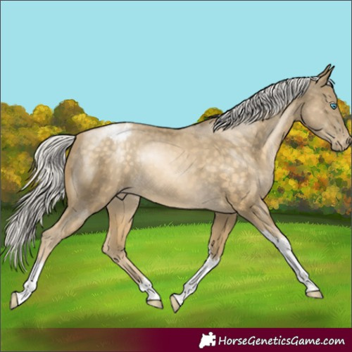 Horse Color:Silver Buckskin Pearl Tobiano Varnish Rabicano