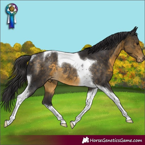 Horse Color:Buckskin Tobiano Varnish Rabicano 
