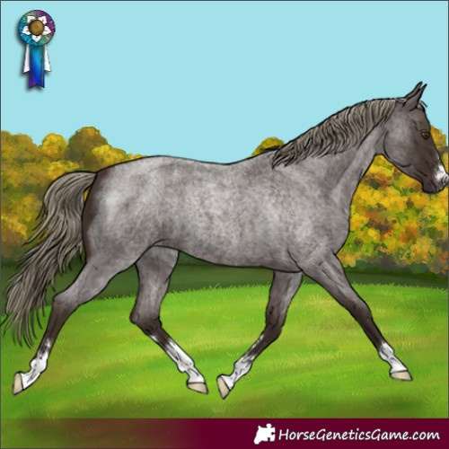 Horse Color:Liver Red Roan 
