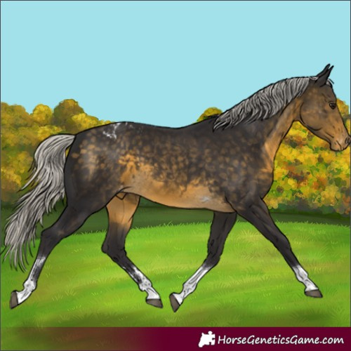 Horse Color:Silver Buckskin Tobiano Varnish Rabicano