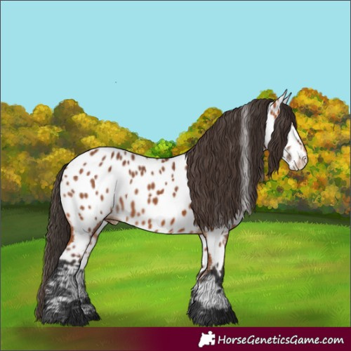 Horse Color:Unknown 