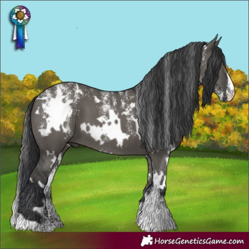 Horse Color:Powder White White Spotted Grullo
