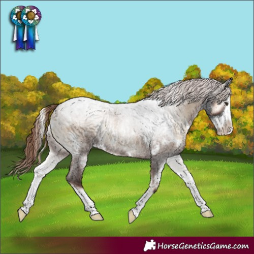 Horse Color:White Spotted Liver Red Onyx Roan Splash 