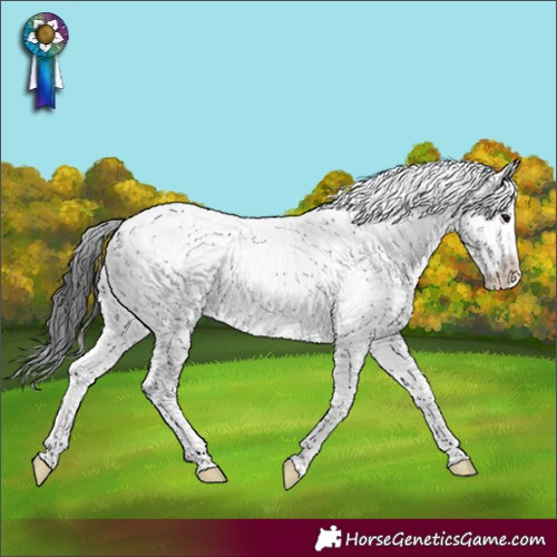 Horse Color:Brown Sabino Varnish Rabicano 