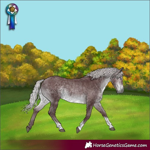 Horse Color:Chocolate Silver Brown Chinchilla Tobiano 