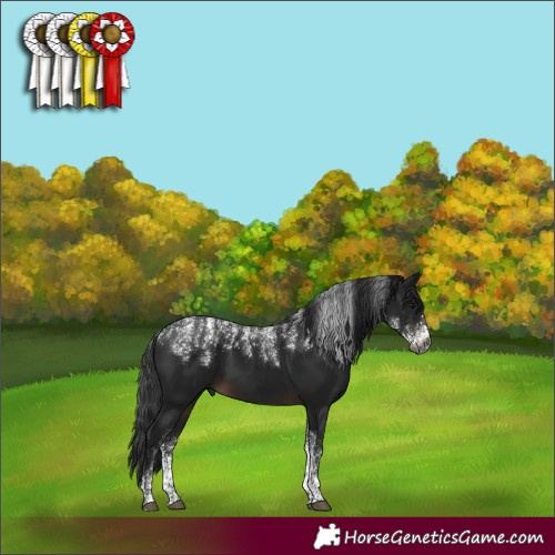 Horse Color:Powder White Gray Brown 