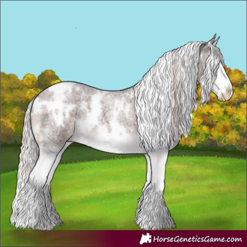 Horse Color:White Spotted Chocolate Silver Brown Roan Splash