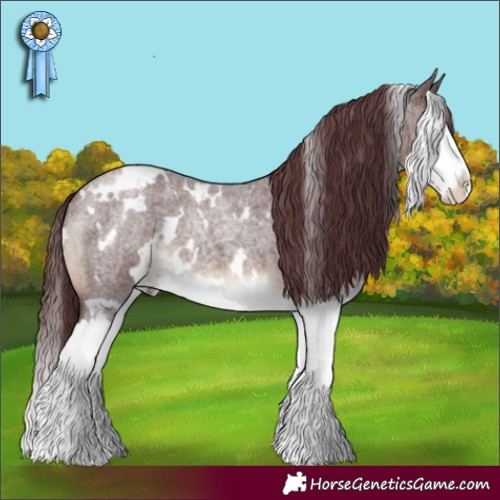 Horse Color:White Spotted Chocolate Brown Roan Splash 