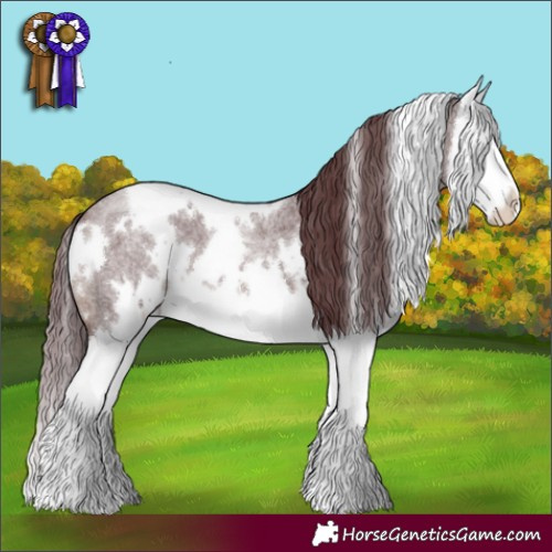 Horse Color:White Spotted Chocolate Brown Roan Splash