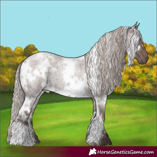 Horse Color:White Spotted Chocolate Silver Blue Roan 