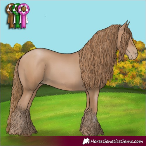 Horse Color:Black Pearl