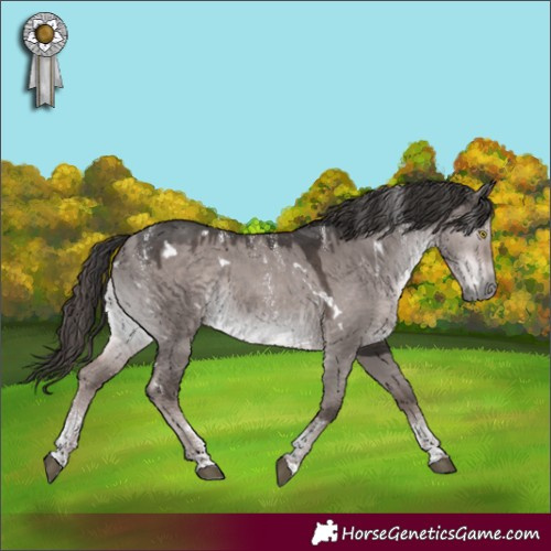 Horse Color:Powder White Platinum White Spotted Liver Red Dun Rabicano 