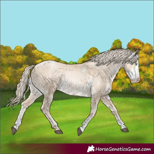 Horse Color:Liver Red Dun Sabino