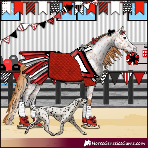 Horse Color:Unknown 