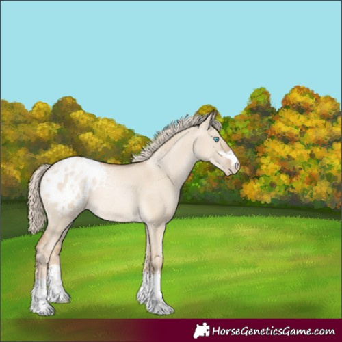 Horse Color:Chocolate Palomino Pearl Dun Blanket 
