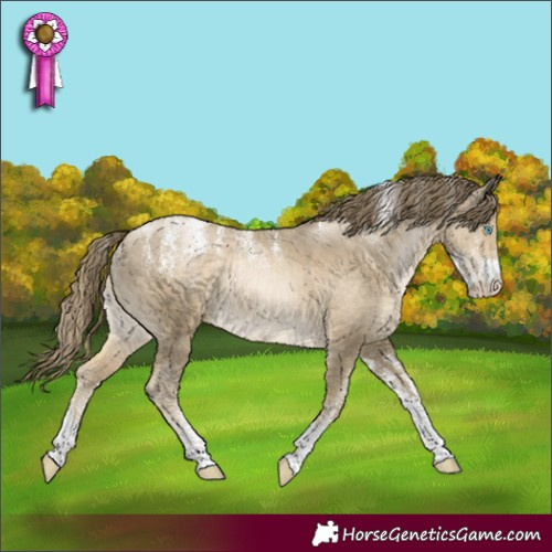 Horse Color:Powder White Smoky Black Pearl