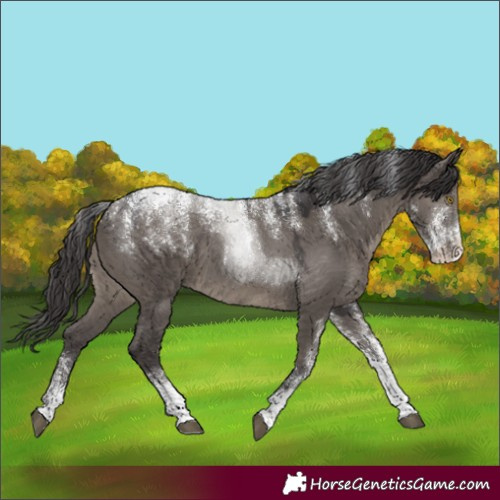 Horse Color:Powder White Platinum Smoky Grullo 