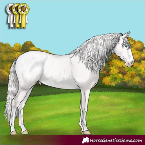 Horse Color:Cremello Dun Blanket 