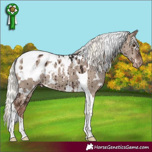 Horse Color:White Spotted Liver Red Dun Mushroom Tobiano Blanket Brindle