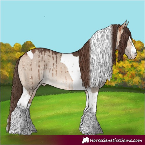 Horse Color:Bay Dun Mushroom Tobiano Snowflake VarnishRabicano Brindle 