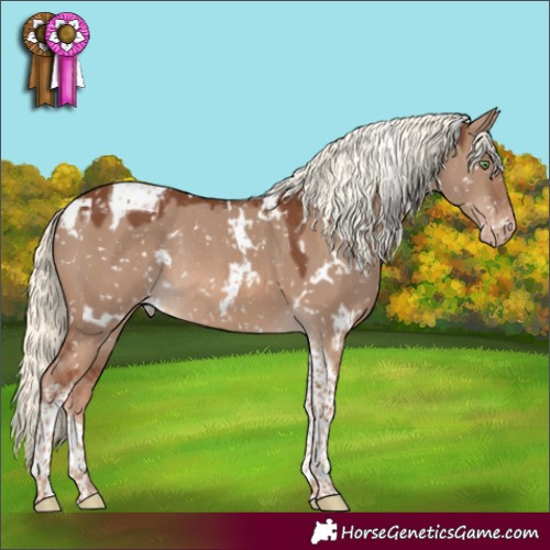 Horse Color:White Spotted Red Dun Mushroom Tobiano Snowflake Varnish Rabicano 