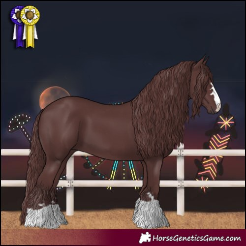 Horse Color:Chocolate Smoky Black Chinchilla 