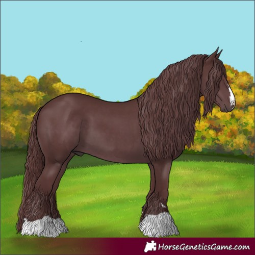 Horse Color:Chocolate Smoky Black Chinchilla