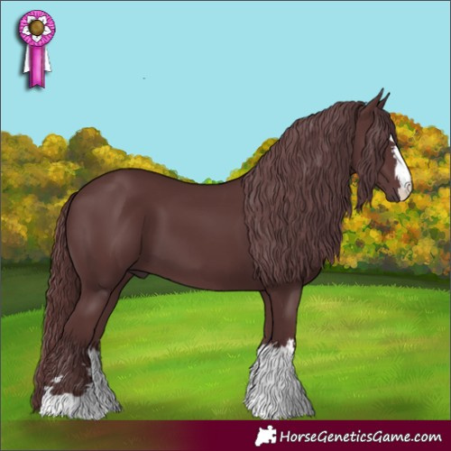 Horse Color:Chocolate Smoky Black Chinchilla