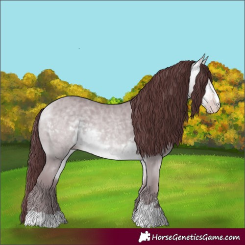 Horse Color:Chocolate Amber Cream Champagne Chinchilla