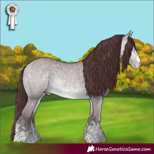 Horse Color:Chocolate Amber Champagne Chinchilla