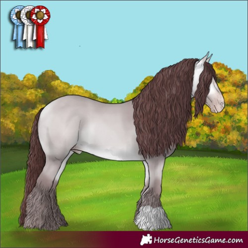 Horse Color:Chocolate Amber Cream Champagne Chinchilla 