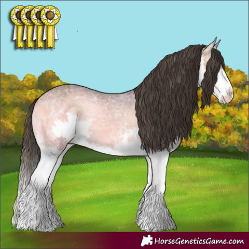 Horse Color:Buckskin Ice Onyx Splash