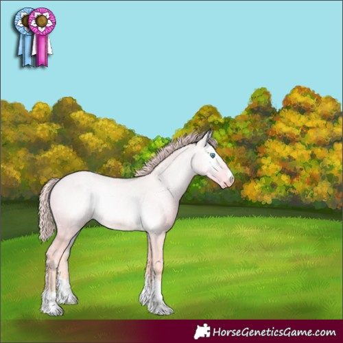 Horse Color:Perlino Ice Onyx 