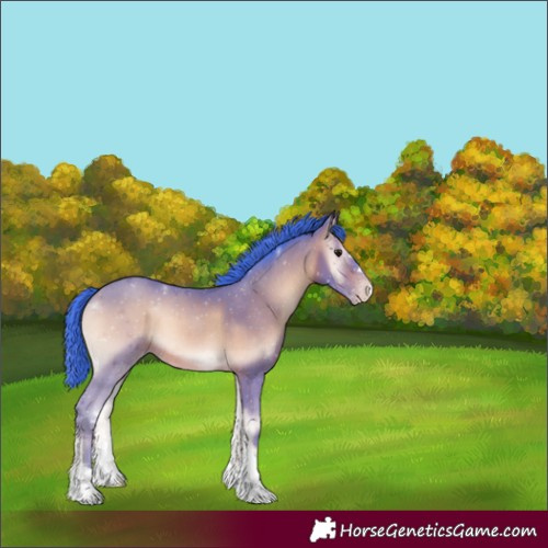 Horse Color:Watercolor Sable Champagne Onyx 