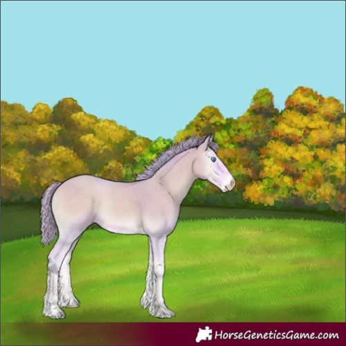 Horse Color:Watercolor Perlino Onyx 