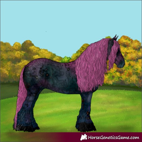 Horse Color:ERROR: UNKNOWN ANOMALY