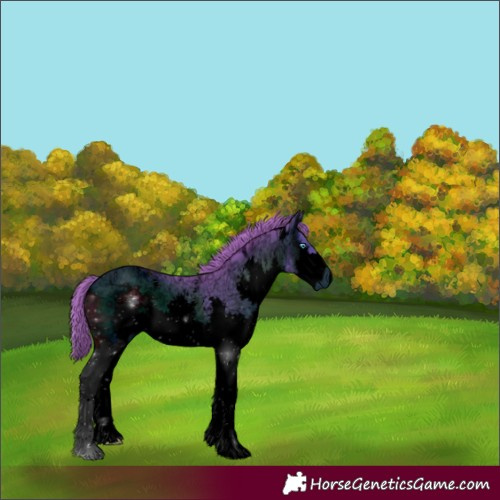 Horse Color:ERROR: UNKNOWN ANOMALY
