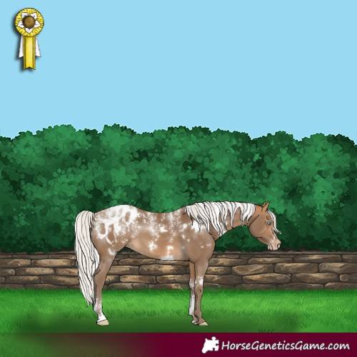 Horse Color:Powder White Gray White Spotted Silver Perlino Varnish