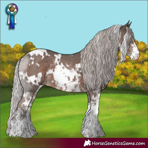 Horse Color:White Spotted Silver Black Sabino 
