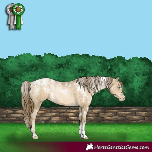 Horse Color:Powder White White Spotted Buckskin Pearl Snowflake Varnish 