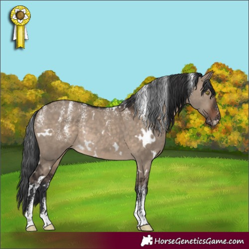 Horse Color:Powder White White Spotted Brown Dun Rabicano