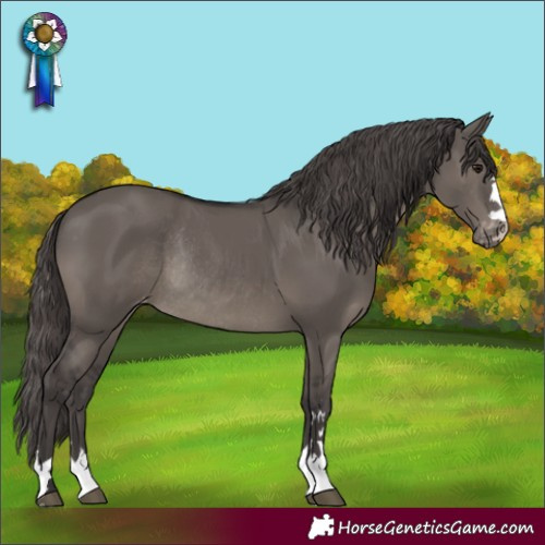 Horse Color:Smoky Grullo Varnish Rabicano 