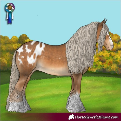 Horse Color:Chocolate Palomino Blanket